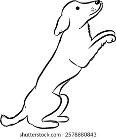 
Dog. Domestic animal. Hand drawn vector isolated illustration doodle. 