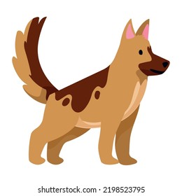 dog domestic pet animal character