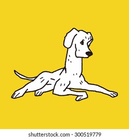 dog doodle