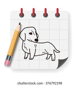 dog doodle