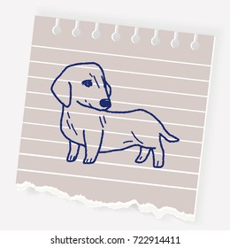 dog doodle
