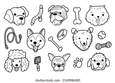 Dog doodle. Dog breeds hand drawn. Pomeranian, labrador, collie, sheltie, bulldog, poodle, akita, husky head. Vector vet illustration on a white background.