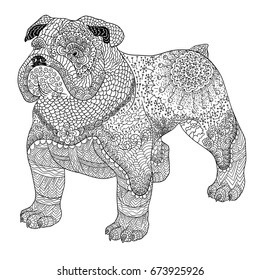 Dog doodle coloring book for adult. Bulldog isolated on white background.