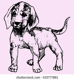 dog, doodle style sketch illustration hand drawn vector 