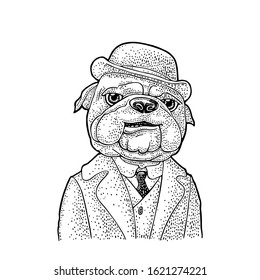 Dog Dr. Watson dressed in a hat, suit, waistcoat. Vintage black engraving illustration for poster. Isolated on white background. Hand drawn design element for poster