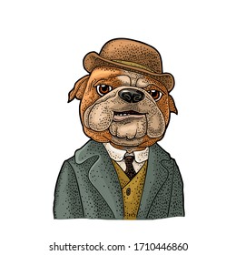Dog Dr. Watson dressed in a hat, suit, waistcoat. Vintage color engraving illustration for poster. Isolated on white background. Hand drawn design element for poster