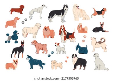 Dog drawing outline set with isolated icons of trails and images of dogs of different breed vector illustration