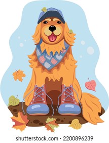 Un perro vestido con una gorra de béisbol, bufanda y botas está feliz este otoño.
