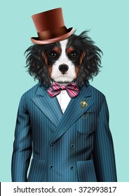 Dog dressed up in blue tuxedo and hat. Fashion vector  illustration of Cavalier King Charles Spaniel