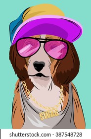 Dog dressed up in hip hop style