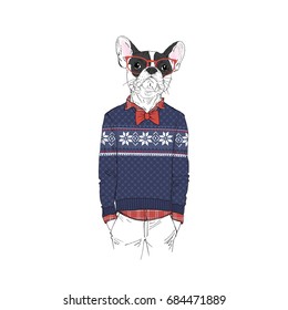 dog dressed up in winter jacquard sweater , furry art illustration, fashion animals