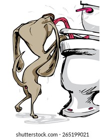 dog drinking from the toilet