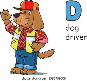 Dog driver Animals and professions ABC. Alphabet D