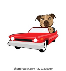 Dog Driving Car Cartoon Vector Icon Illustration. Animal Transportation Icon Concept Isolated Premium Vector. Flat Cartoon Style