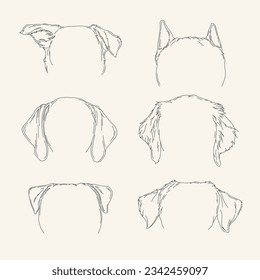 Pasos de ai de dibujo de orejas de perro