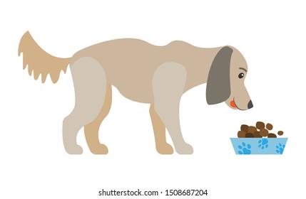 Perro comiendo comida seca del intestino aislado caricatura animal canino. Alimentación de cachorros domésticos de plato, refrigerios nutricionales para labrador o para el retirador. Ilustración vectorial al estilo de las caricaturas planas