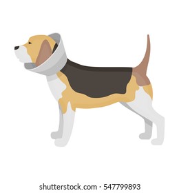 8,783 Dog cone Images, Stock Photos & Vectors | Shutterstock