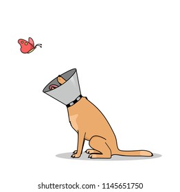 Dog with Elizabethan collar playing with a butterfly in flat vector style isolated on white background.