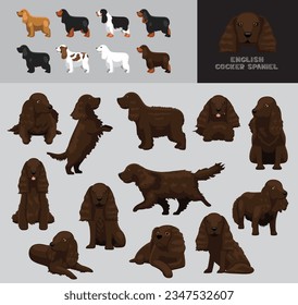 Dog English Cocker Spaniel Liver Brown Chocolate Coat Cartoon Vector Illustration Color Variation Set