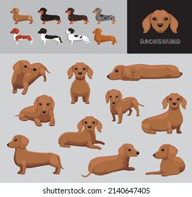 Juego de variación de color del vector de dibujos animados Dachshund en inglés de perro