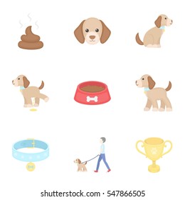 Dog equipment set icons in cartoon style. Big collection dog equipment vector symbol stock illustration