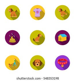 Dog equipment set icons in flat style. Big collection dog equipment vector symbol stock illustration