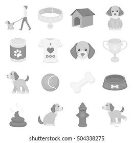 Dog equipment set icons in monochrome style. Big collection of dog equipment vector symbol stock illustration