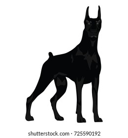 Dog - evil, aggressive, thoroughbred, proud - sketch - isolated on white background - art creative illustration