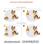 Pavlov’s dog experiment demonstrated classical conditioning by training dogs to associate a bell sound with food, causing them to salivate at the bell alone.