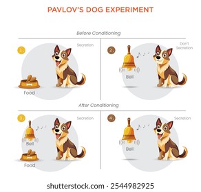 O experimento com cães de Pavlov demonstrou o condicionamento clássico ao treinar cães para associar um som de sino com a comida, fazendo com que eles salivassem apenas no sino.