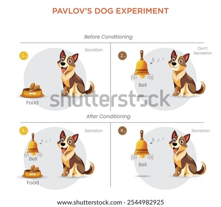Pavlov’s dog experiment demonstrated classical conditioning by training dogs to associate a bell sound with food, causing them to salivate at the bell alone.