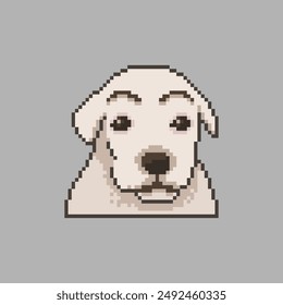 Dog with eyebrows, pixel art meme