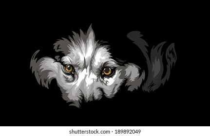 dog eyes