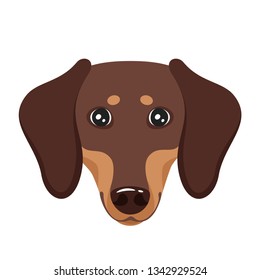 Вachshund dog face. Adorable pet. Vector illustration isolated on white background.