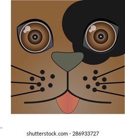 Dog face big eye