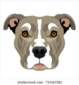 dog face cartoon flat icon design, dog's head,