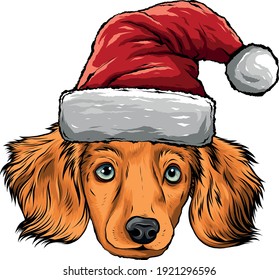 dog face with Christmas hat vector illustration