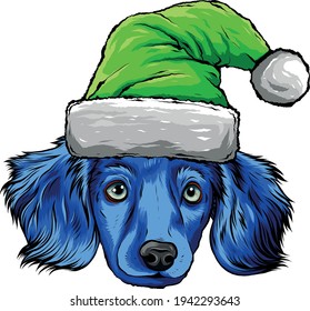 dog face with Christmas hat vector illustration