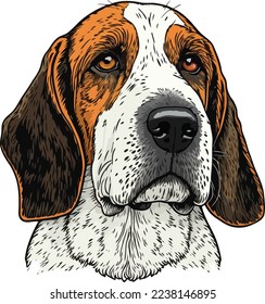 Dog Face Close Up Portrait illustration 11