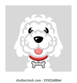 Dog face cute--poodle-- illustrations isolated on colorful backgrounds