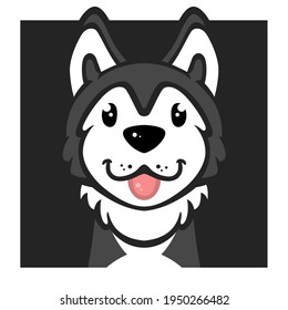 Dog face cute--siberian husky-- illustrations isolated on colorful backgrounds