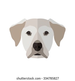Dog Face in Flat style ( Labrador )