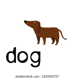 
Dog face hand drawn lettering inscription, cute dog character isolated on white. Cartoon animals vector illustration. Scandinavian font style, doodle drawings. Funny children's t-shirt typography des