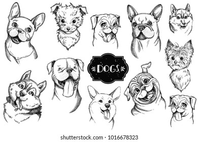Dog face hand drawn set. Vector animal illustration isolated on white
