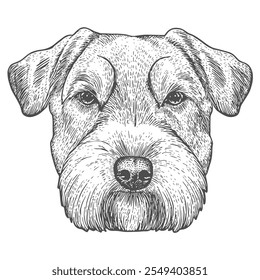 Cara de perro, Vector dibujado a mano, estilo gráfico, ilustración de dibujos animados, blanco y negro, estilo de boceto