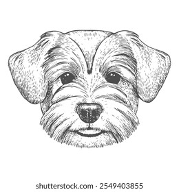 Cara de perro, Vector dibujado a mano, estilo gráfico, ilustración de dibujos animados, blanco y negro, estilo de boceto