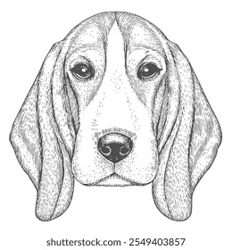 Cara de perro, Vector dibujado a mano, estilo gráfico, ilustración de dibujos animados, blanco y negro, estilo de boceto