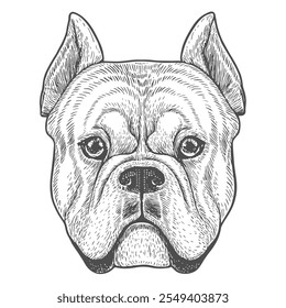 Cara de perro, Vector dibujado a mano, estilo gráfico, ilustración de dibujos animados, blanco y negro, estilo de boceto