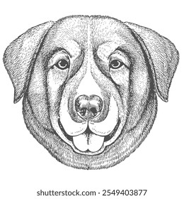 Cara de perro, Vector dibujado a mano, estilo gráfico, ilustración de dibujos animados, blanco y negro, estilo de boceto