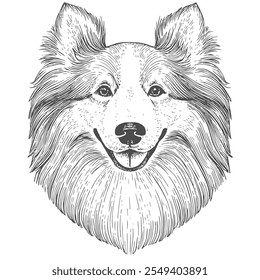 Cara de perro, Vector dibujado a mano, estilo gráfico, ilustración de dibujos animados, blanco y negro, estilo de boceto